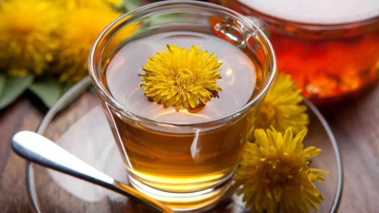Karahindiba çayı her gün içilir mi?