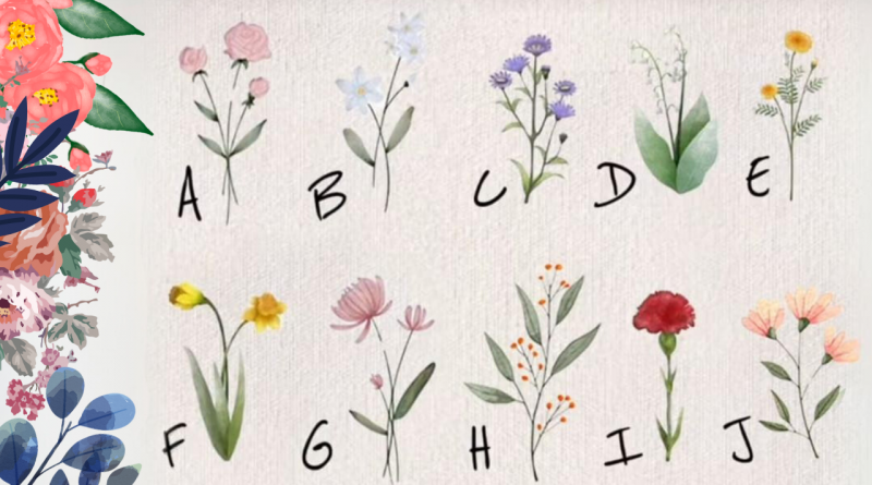 Yeni Akım çiçek Alfabesi! Capcut Ile çiçeklerle Isim Yazarak Buket Oluşturmak