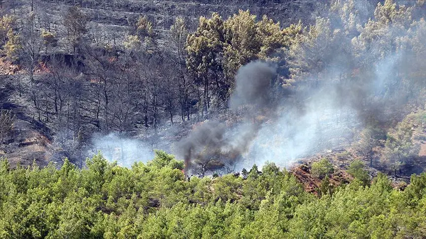 Orman yangınları sebebiyle ormanlara girme yasağı İstanbul'da 10 Haziran itibarıyla başlıyor! Verilen liste dışındaki yerlere giriş yasaklandı